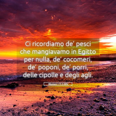 Picture 05 - Numeri 11:5 RIV - Ci ricordiamo de’ pesci che mangiavamo in - Bible Verse Picture