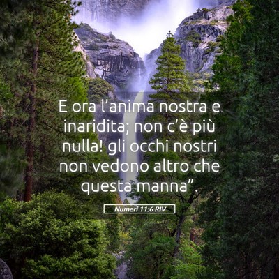 Picture 05 - Numeri 11:6 RIV - E ora l’anima nostra e inaridita; non c’è - Bible Verse Picture