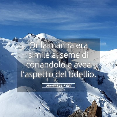 Picture 05 - Numeri 11:7 RIV - Or la manna era simile al seme di coriandolo e - Bible Verse Picture