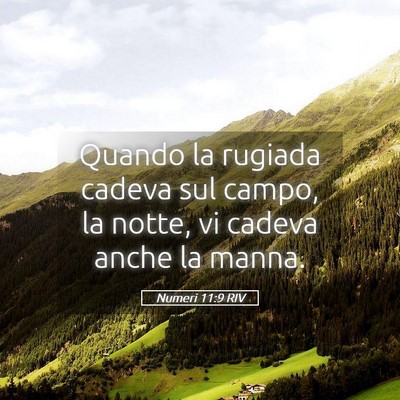 Picture 05 - Numeri 11:9 RIV - Quando la rugiada cadeva sul campo, la notte, vi - Bible Verse Picture
