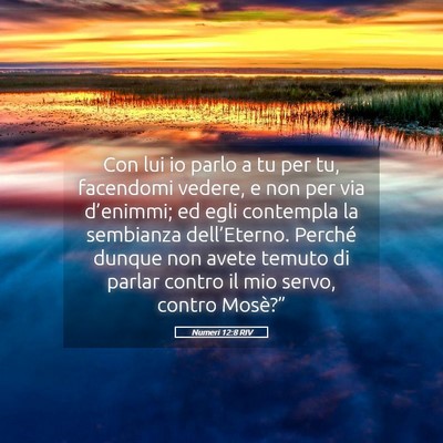 Picture 05 - Numeri 12:8 RIV - Con lui io parlo a tu per tu, facendomi vedere, e - Bible Verse Picture