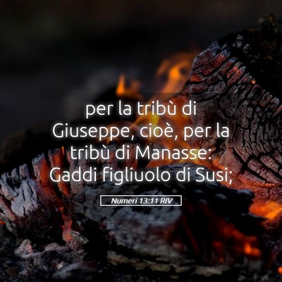 Picture 05 - Numeri 13:11 RIV - per la tribù di Giuseppe, cioè, per la tribù - Bible Verse Picture