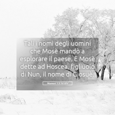 Picture 05 - Numeri 13:16 RIV - Tali i nomi degli uomini che Mosè mandò a - Bible Verse Picture