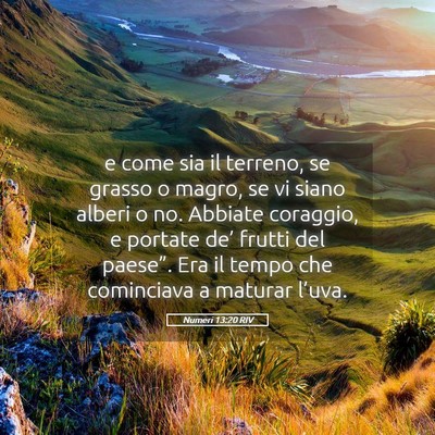Picture 05 - Numeri 13:20 RIV - e come sia il terreno, se grasso o magro, se vi - Bible Verse Picture
