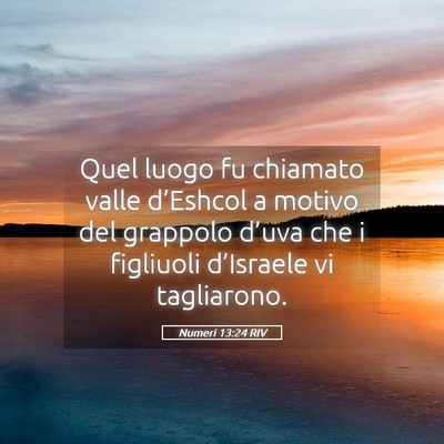 Picture 05 - Numeri 13:24 RIV - Quel luogo fu chiamato valle d’Eshcol a motivo - Bible Verse Picture