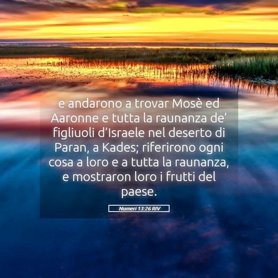 Picture 05 - Numeri 13:26 RIV - e andarono a trovar Mosè ed Aaronne e tutta la - Bible Verse Picture