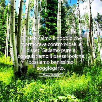 Picture 05 - Numeri 13:30 RIV - E Caleb calmò il popolo che mormorava contro - Bible Verse Picture