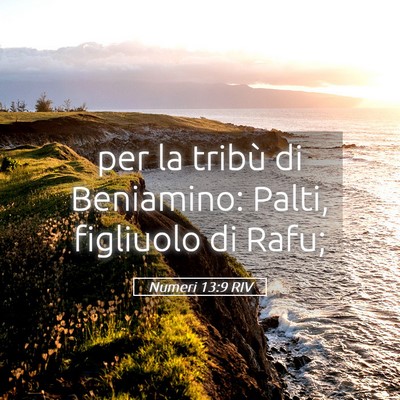 Picture 05 - Numeri 13:9 RIV - per la tribù di Beniamino: Palti, figliuolo di - Bible Verse Picture