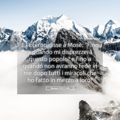 Picture 05 - Numeri 14:11 RIV - E l’Eterno disse a Mosè: “Fino a quando mi - Bible Verse Picture