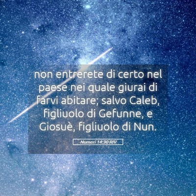 Picture 05 - Numeri 14:30 RIV - non entrerete di certo nel paese nei quale giurai - Bible Verse Picture