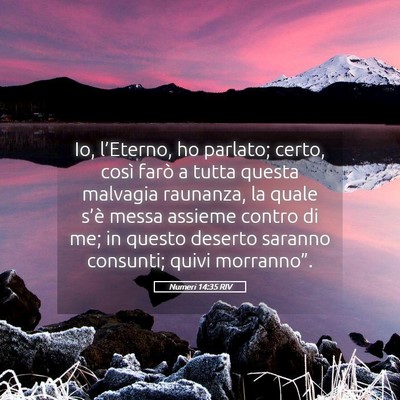 Picture 05 - Numeri 14:35 RIV - Io, l’Eterno, ho parlato; certo, così farò a - Bible Verse Picture
