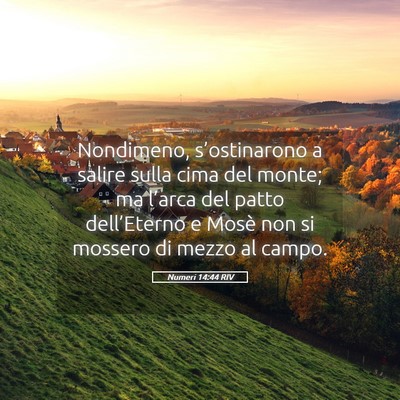 Picture 05 - Numeri 14:44 RIV - Nondimeno, s’ostinarono a salire sulla cima del - Bible Verse Picture
