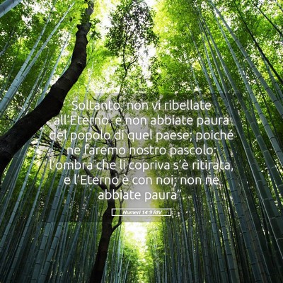 Picture 05 - Numeri 14:9 RIV - Soltanto, non vi ribellate all’Eterno, e non - Bible Verse Picture