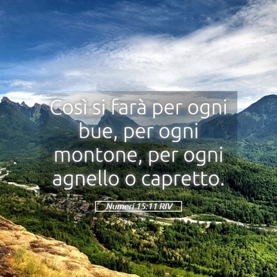 Picture 05 - Numeri 15:11 RIV - Così si farà per ogni bue, per ogni montone, - Bible Verse Picture