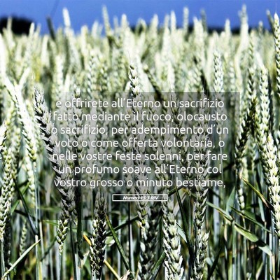 Picture 05 - Numeri 15:3 RIV - e offrirete all’Eterno un sacrifizio fatto - Bible Verse Picture