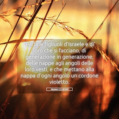 Picture 05 - Numeri 15:38 RIV - “Parla ai figliuoli d’Israele e di’ loro - Bible Verse Picture