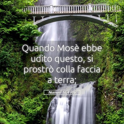 Picture 05 - Numeri 16:4 RIV - Quando Mosè ebbe udito questo, si prostrò colla - Bible Verse Picture