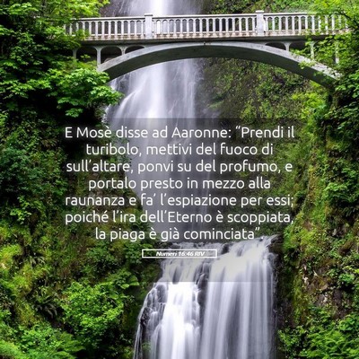 Picture 05 - Numeri 16:46 RIV - E Mosè disse ad Aaronne: “Prendi il turibolo, - Bible Verse Picture