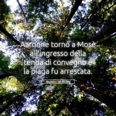 Picture 05 - Numeri 16:50 RIV - Aaronne tornò a Mosè all’ingresso della tenda - Bible Verse Picture