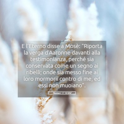 Picture 05 - Numeri 17:10 RIV - E l’Eterno disse a Mosè: “Riporta la verga - Bible Verse Picture