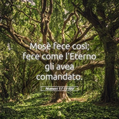 Picture 05 - Numeri 17:11 RIV - Mosè fece così; fece come l’Eterno gli avea - Bible Verse Picture