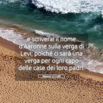 Picture 05 - Numeri 17:3 RIV - e scriverai il nome d’Aaronne sulla verga di - Bible Verse Picture