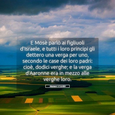 Picture 05 - Numeri 17:6 RIV - E Mosè parlò ai figliuoli d’Israele, e tutti - Bible Verse Picture