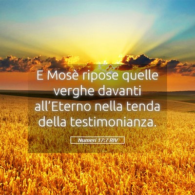 Picture 05 - Numeri 17:7 RIV - E Mosè ripose quelle verghe davanti all’Eterno - Bible Verse Picture