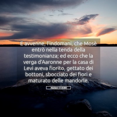 Picture 05 - Numeri 17:8 RIV - E avvenne, l’indomani, che Mosè entrò nella - Bible Verse Picture