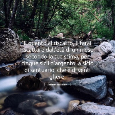 Picture 05 - Numeri 18:16 RIV - E quanto al riscatto, li farai riscattare - Bible Verse Picture