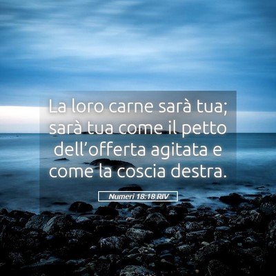 Picture 05 - Numeri 18:18 RIV - La loro carne sarà tua; sarà tua come il petto - Bible Verse Picture