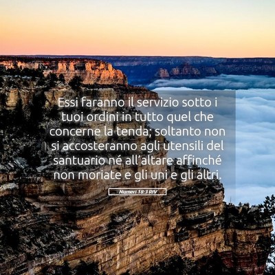Picture 05 - Numeri 18:3 RIV - Essi faranno il servizio sotto i tuoi ordini in - Bible Verse Picture