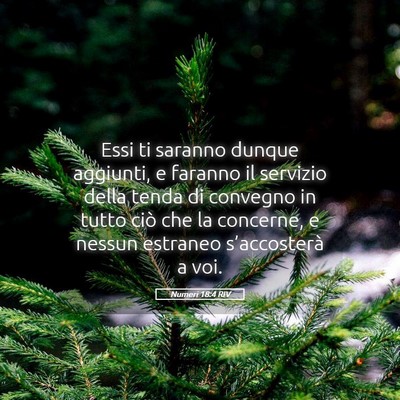Picture 05 - Numeri 18:4 RIV - Essi ti saranno dunque aggiunti, e faranno il - Bible Verse Picture