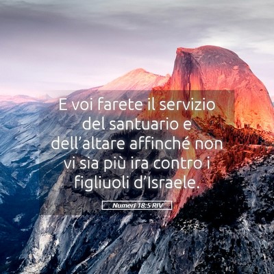 Picture 05 - Numeri 18:5 RIV - E voi farete il servizio del santuario e - Bible Verse Picture