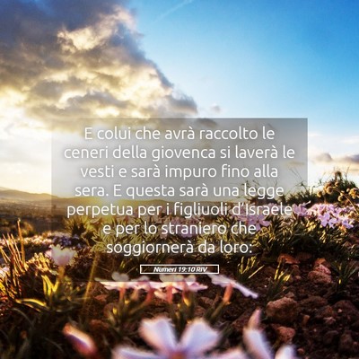 Picture 05 - Numeri 19:10 RIV - E colui che avrà raccolto le ceneri della - Bible Verse Picture
