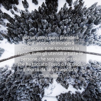 Picture 05 - Numeri 19:18 RIV - poi un uomo puro prenderà dell’issopo, lo - Bible Verse Picture