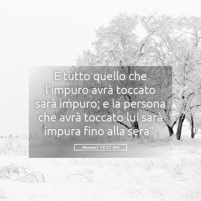 Picture 05 - Numeri 19:22 RIV - E tutto quello che l’impuro avrà toccato sarà - Bible Verse Picture