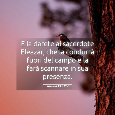 Picture 05 - Numeri 19:3 RIV - E la darete al sacerdote Eleazar, che la - Bible Verse Picture