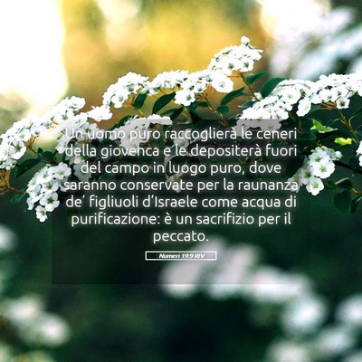 Picture 05 - Numeri 19:9 RIV - Un uomo puro raccoglierà le ceneri della - Bible Verse Picture