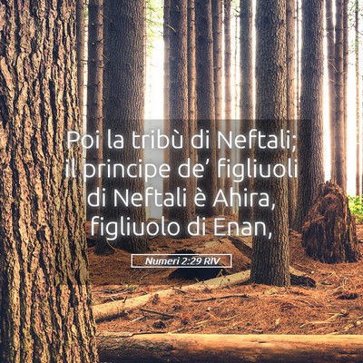 Picture 05 - Numeri 2:29 RIV - Poi la tribù di Neftali; il principe de’ - Bible Verse Picture