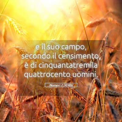 Picture 05 - Numeri 2:30 RIV - e il suo campo, secondo il censimento, è di - Bible Verse Picture