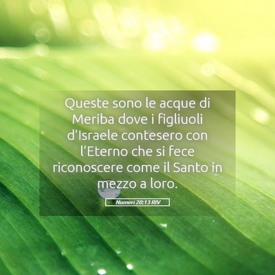 Picture 05 - Numeri 20:13 RIV - Queste sono le acque di Meriba dove i figliuoli - Bible Verse Picture