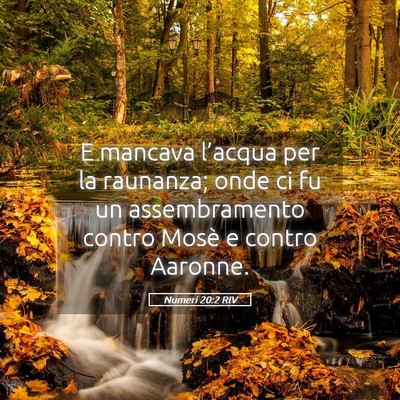 Picture 05 - Numeri 20:2 RIV - E mancava l’acqua per la raunanza; onde ci fu - Bible Verse Picture
