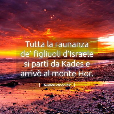 Picture 05 - Numeri 20:22 RIV - Tutta la raunanza de’ figliuoli d’Israele si - Bible Verse Picture