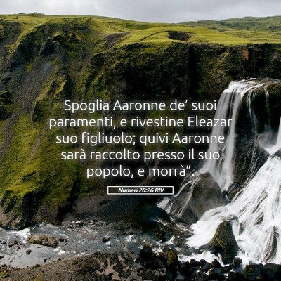 Picture 05 - Numeri 20:26 RIV - Spoglia Aaronne de’ suoi paramenti, e rivestine - Bible Verse Picture