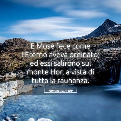 Picture 05 - Numeri 20:27 RIV - E Mosè fece come l’Eterno aveva ordinato; ed - Bible Verse Picture