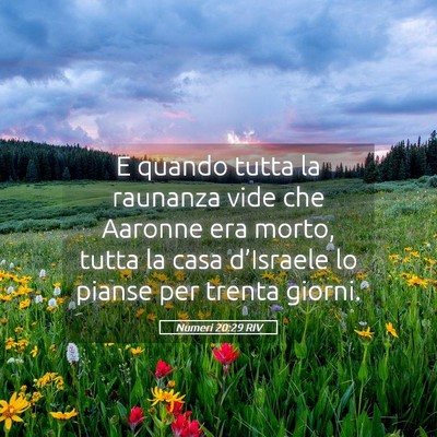 Picture 05 - Numeri 20:29 RIV - E quando tutta la raunanza vide che Aaronne era - Bible Verse Picture
