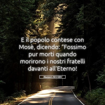 Picture 05 - Numeri 20:3 RIV - E il popolo contese con Mosè, dicendo: - Bible Verse Picture
