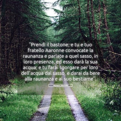 Picture 05 - Numeri 20:8 RIV - “Prendi il bastone; e tu e tuo fratello Aaronne - Bible Verse Picture