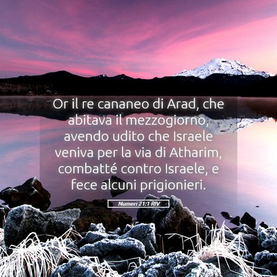 Picture 05 - Numeri 21:1 RIV - Or il re cananeo di Arad, che abitava il - Bible Verse Picture